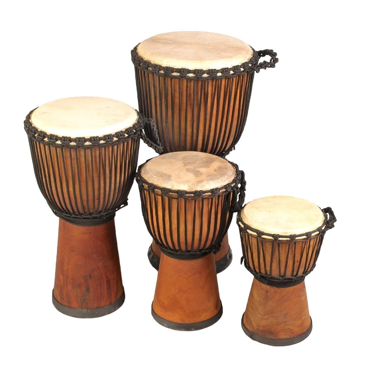 Group of wide-top Djembe drums handcrafted from natural wood, featuring an 11-inch diameter and 50cm height, showcasing traditional West African craftsmanship and rope-tuned designs.