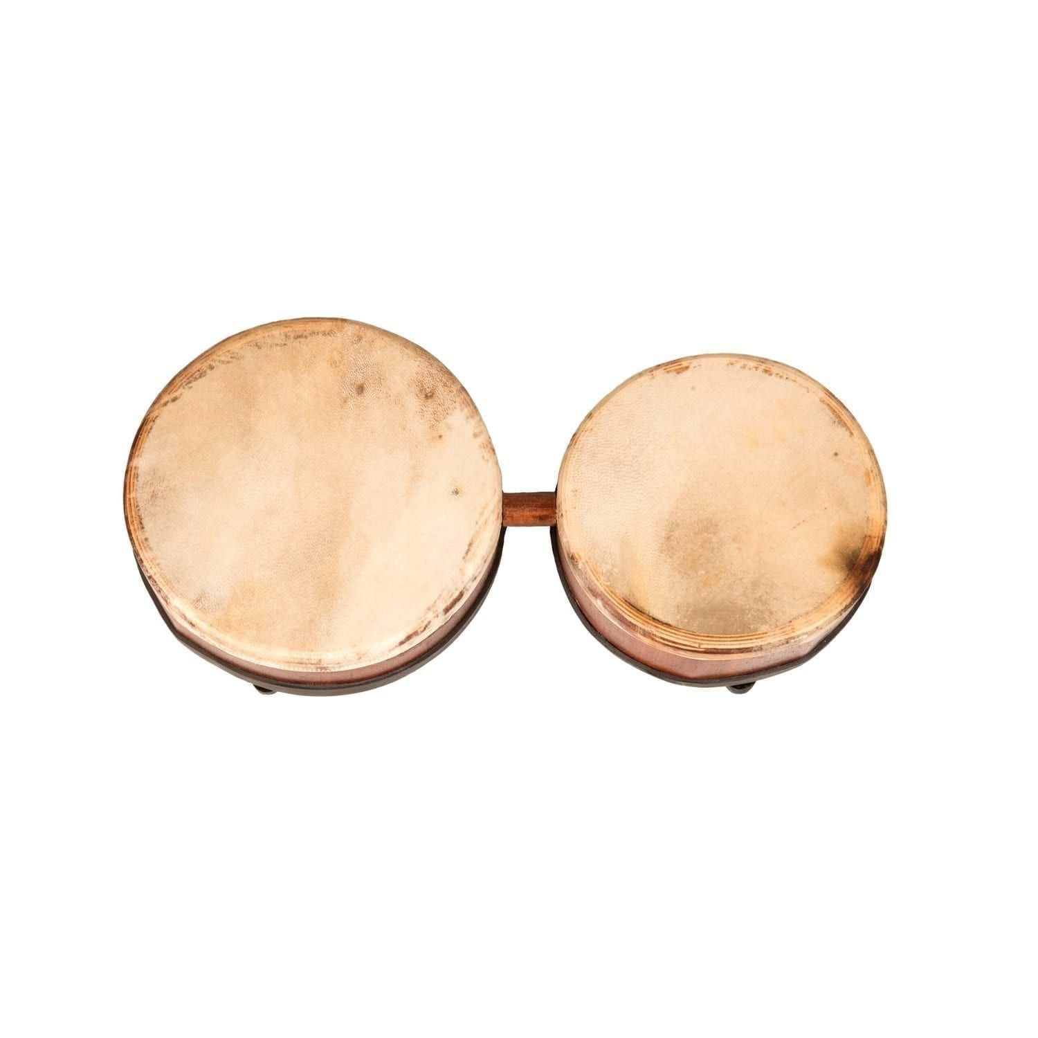 Bongos (African Bongos) from the top.