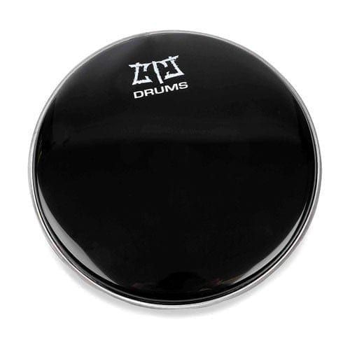 Repinique or Caixa Head 12in diameter main