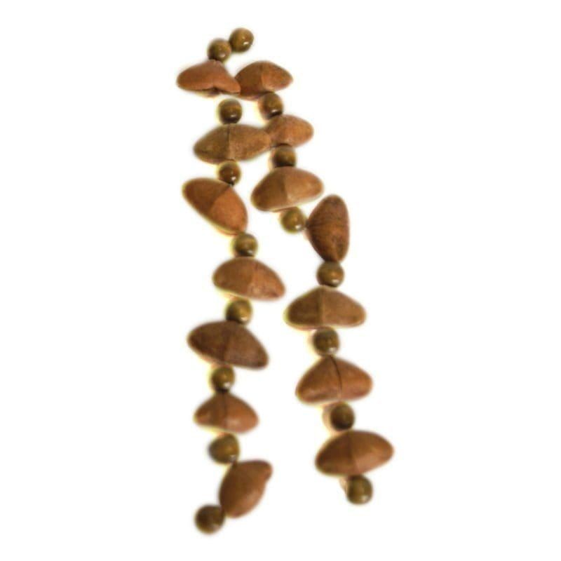 WP stke String kenari