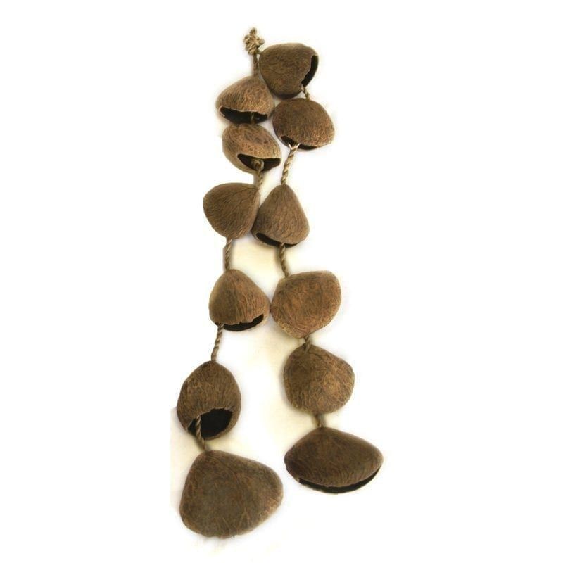 WP stpa String pangi