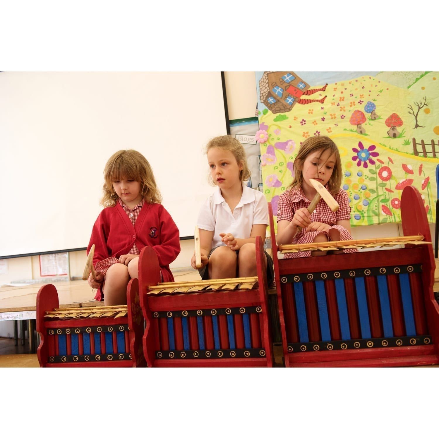 This is a product image of Drums for Schools Set of Gamelan Budget 7 key - Small, Medium, Large. Played in action.