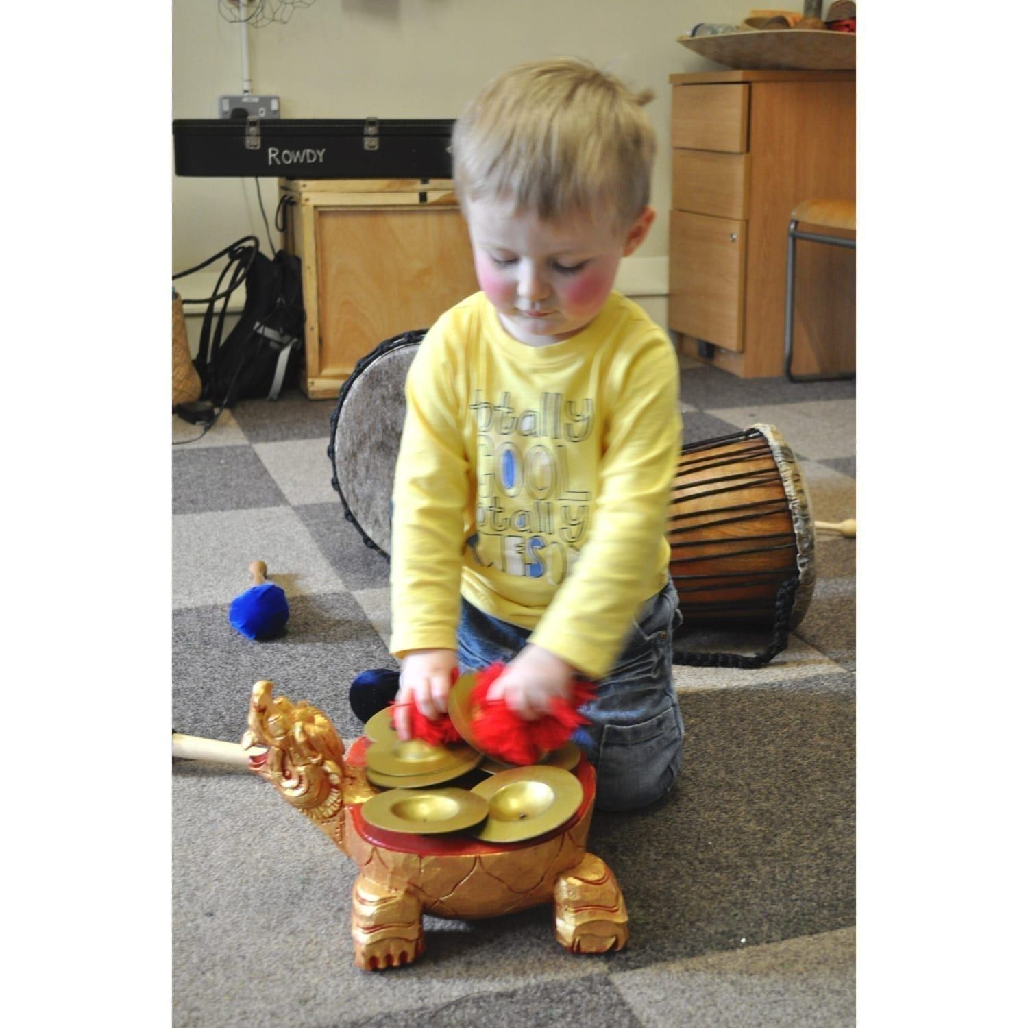 This is a product image of Drums for Schools' ceng-ceng turtle.