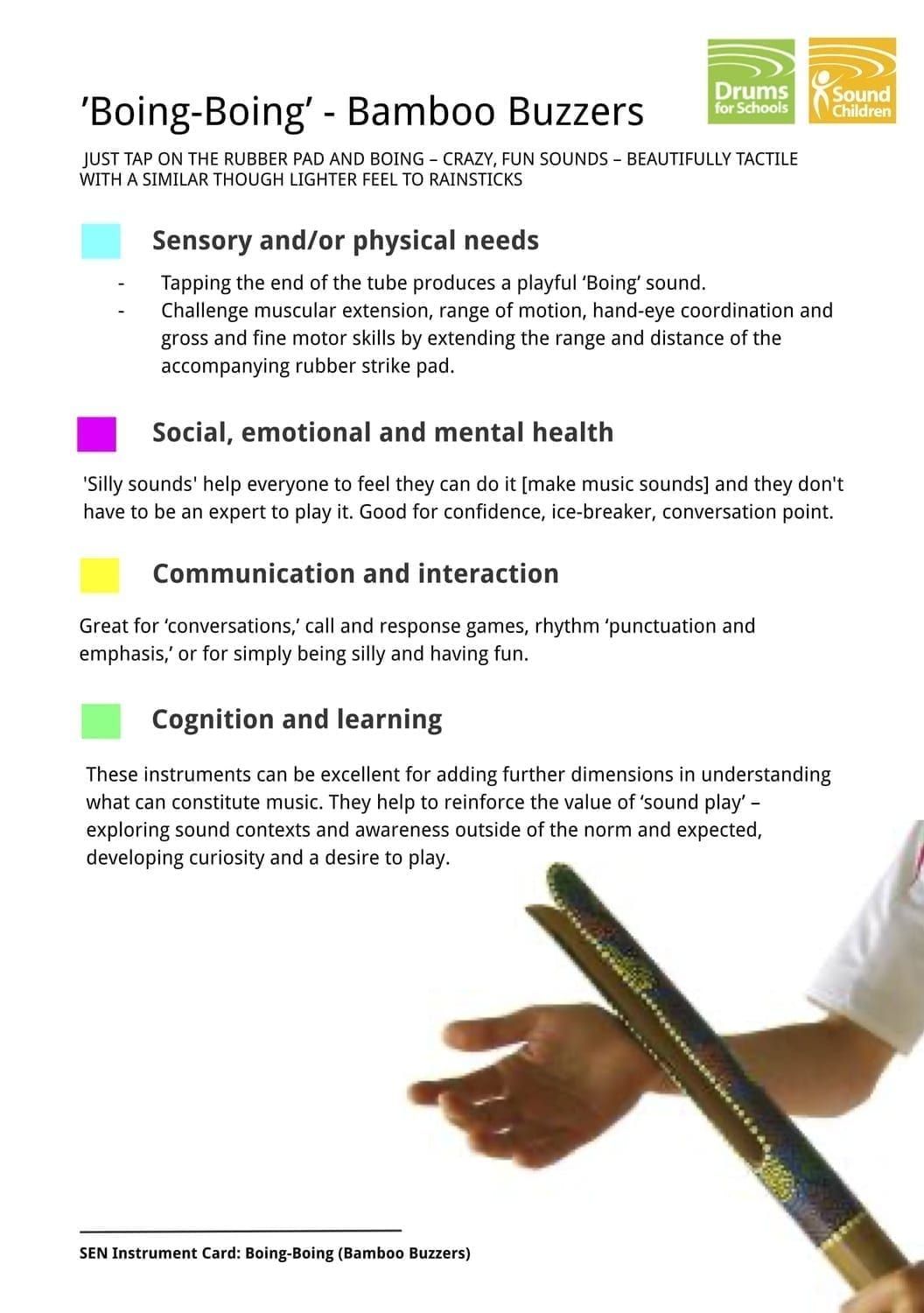 SEN Instrument Cards - Bamboo Buzzers