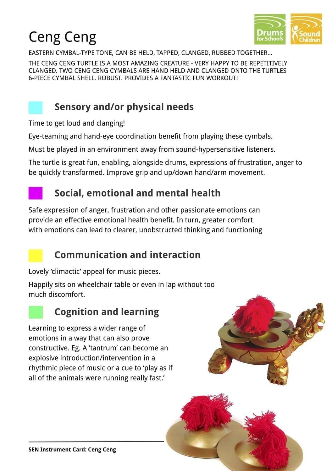 SEN Instrument Cards - Ceng Ceng