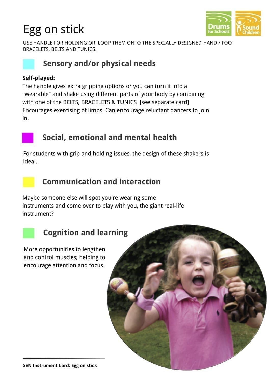 SEN Instrument Cards - Egg on stick