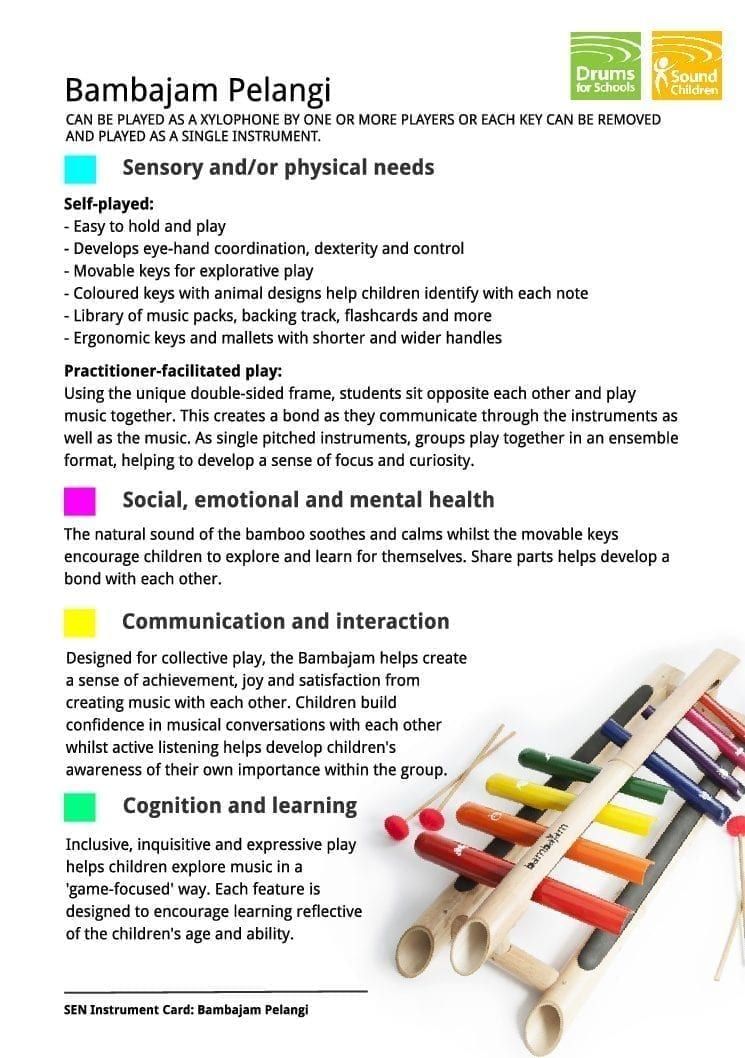 SEN Instrument Cards - Bambajam Pelangi