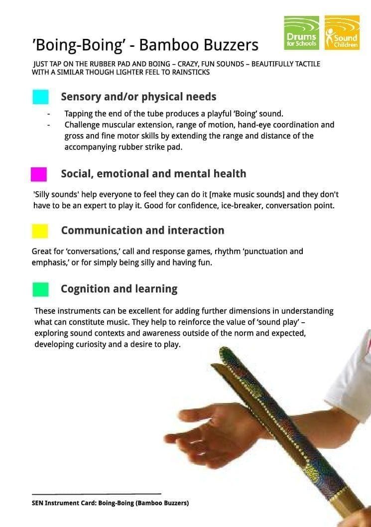 SEN Instrument Cards - Bamboo Buzzers