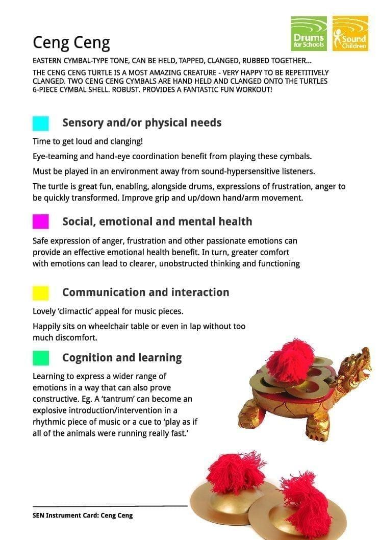 SEN Instrument Cards - Ceng Ceng