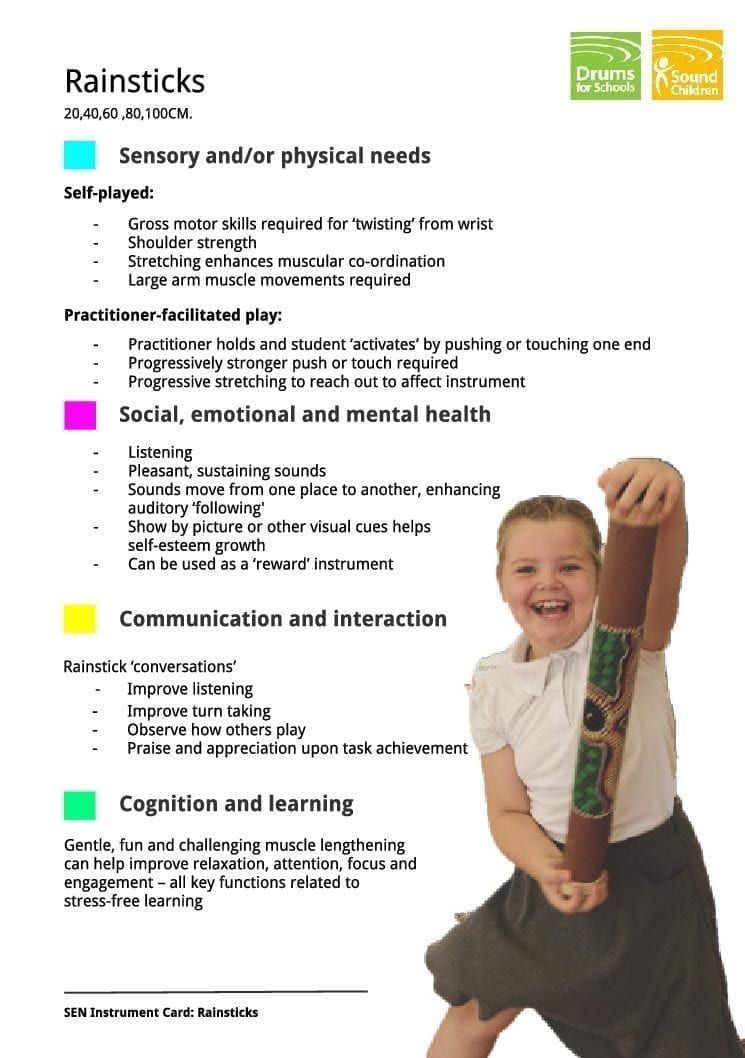 SEN Instrument Cards - Rainsticks