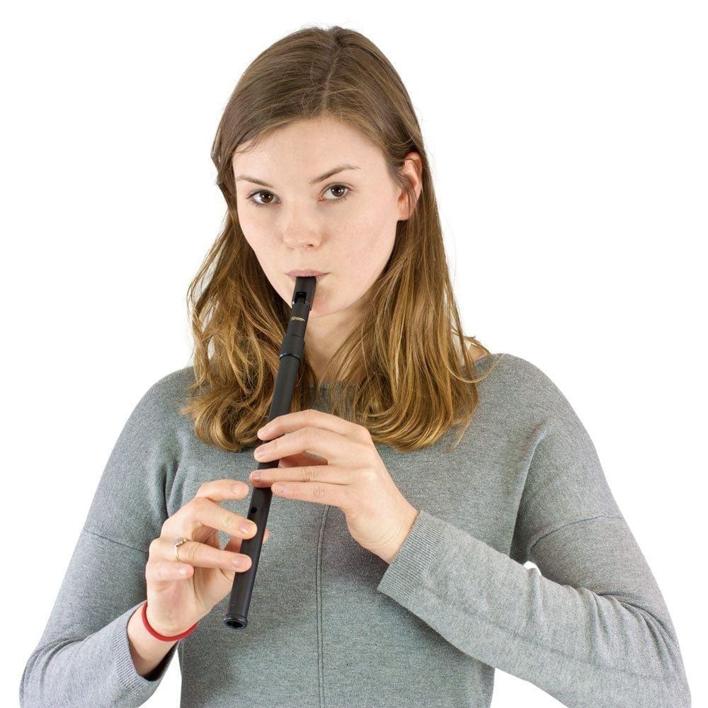 Recorder Workshop Irish whistle - key of
  C