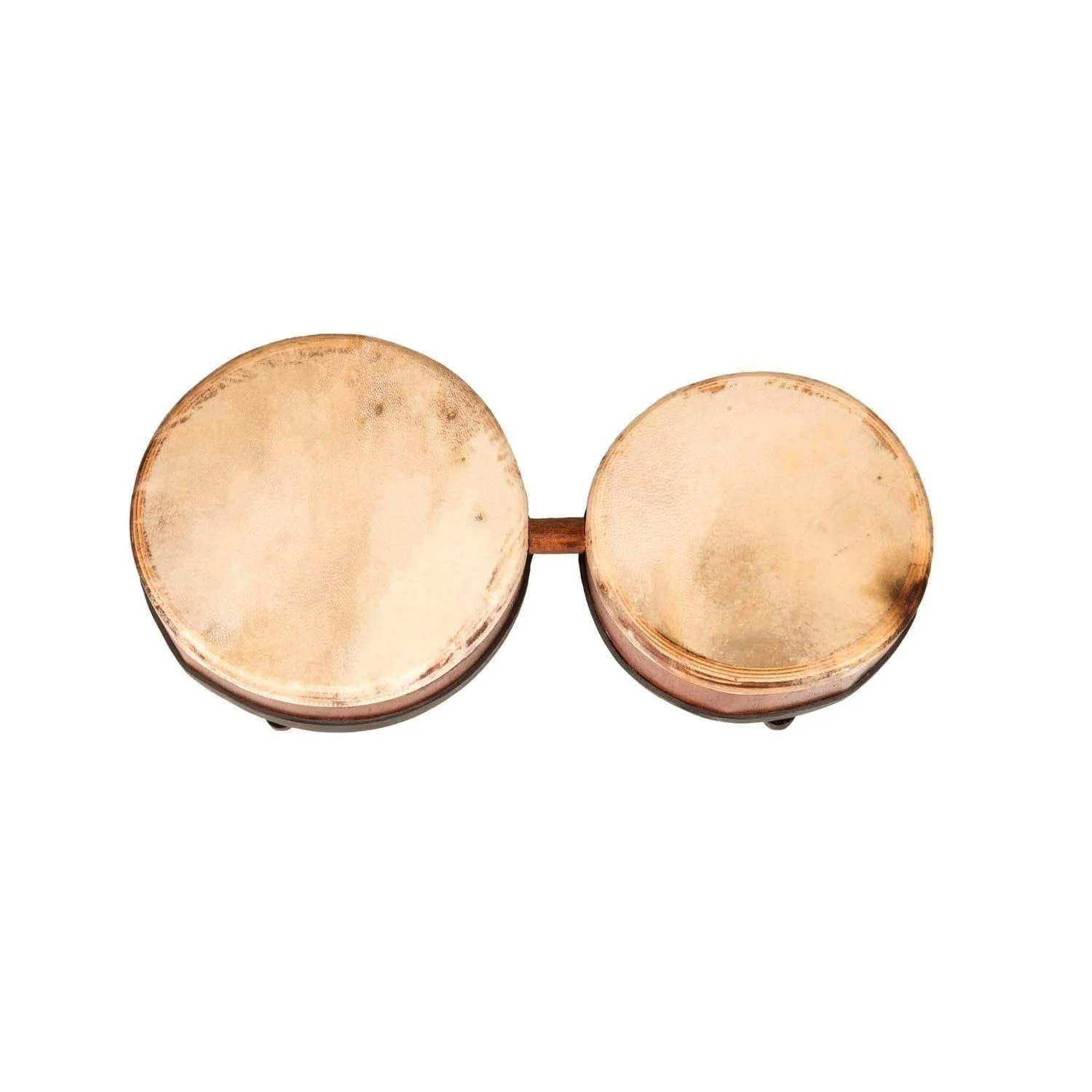 Bongos (African Bongos) from the top.