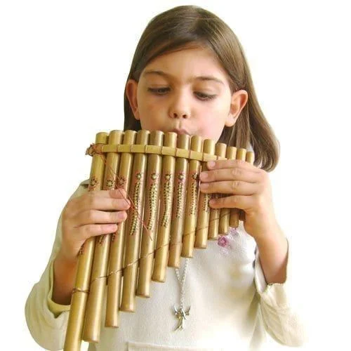 13 note Panpipes (bamboo). Handcrafted for authentic sound, perfect for musicians & educators.
