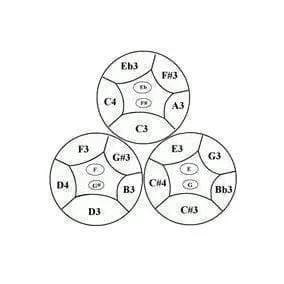 SP-trcestpa - Triple Cello Steel Pans Panyard, painted, stands included - W1065-notes