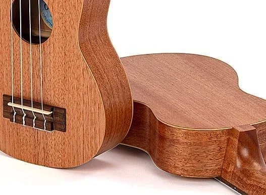 Image of Octopus Ukulele details - back and front, natural