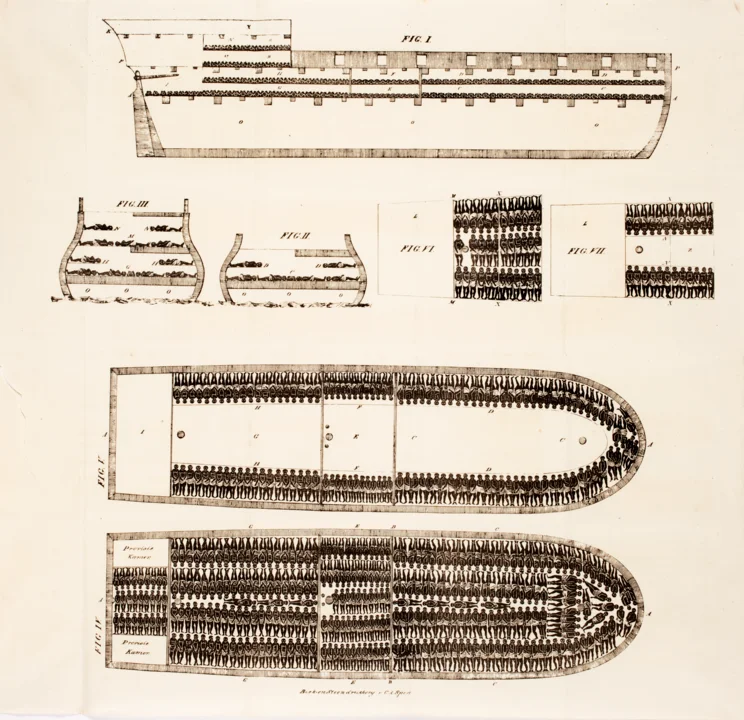 Drawing showing how slaves were packed into cargo ships.
