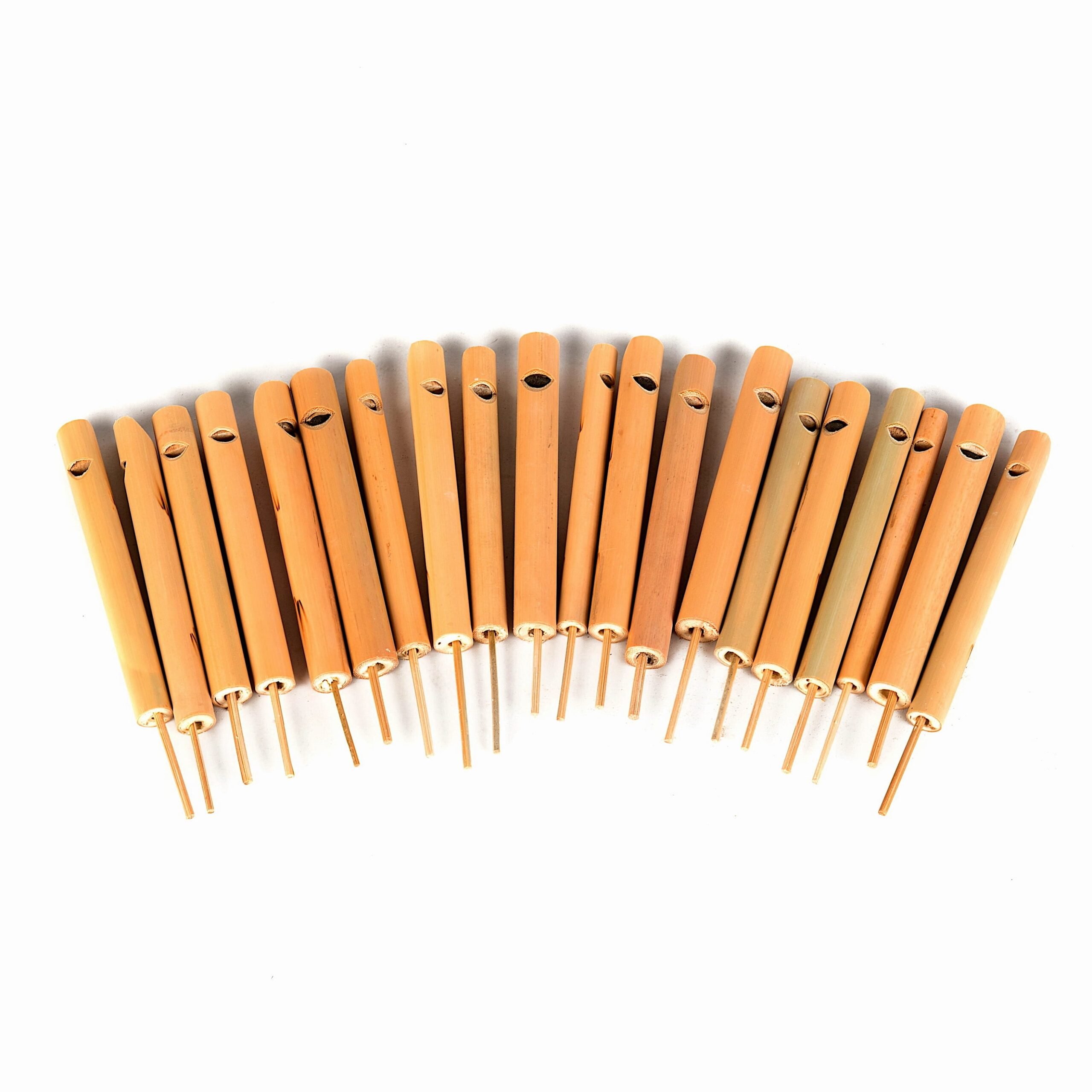 This is a product image of Drums for Schools 12cm natural bamboo swanee whistle